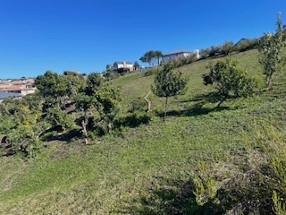 Commercial Property for Sale in Robberg Bay Estate Western Cape